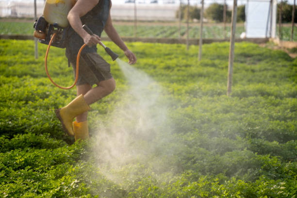 Best Best Pest Control Companies  in Altamont, KS