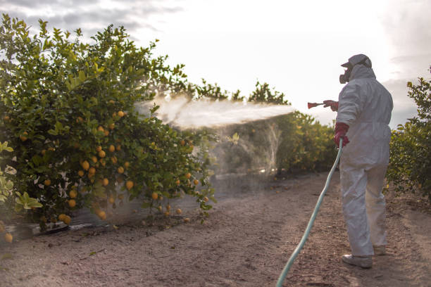 Professional Pest Control in Altamont, KS