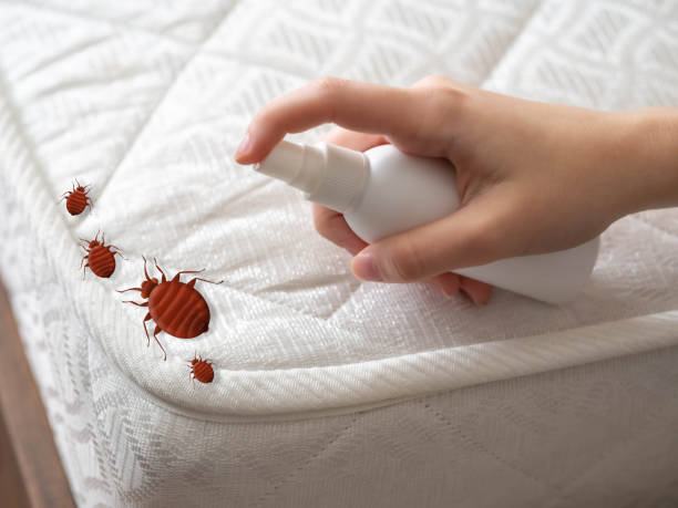 Best Affordable Pest Control Services  in Altamont, KS