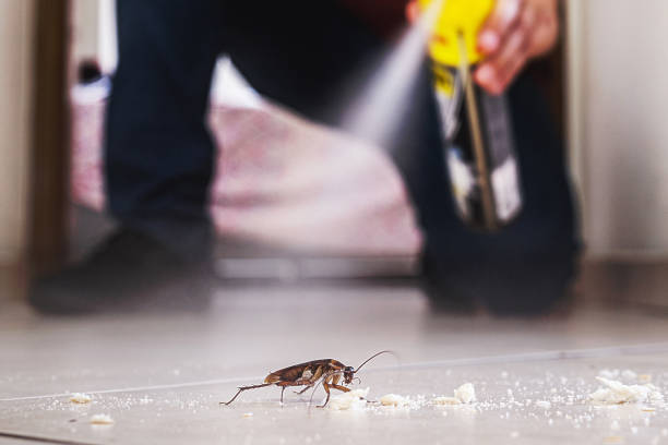 Best Pest Prevention Services  in Altamont, KS