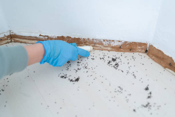 Best Affordable Pest Control Services  in Altamont, KS
